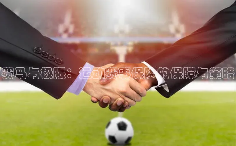 天辰平台app官方下载顺丰赛马与极限：运动赛事保险的保障与策略