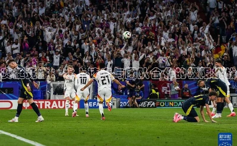 赛艇竞技：水上速度与团队合作的极限挑战