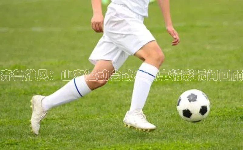 齐鲁雄风：山东运动会武术赛事精彩瞬间回顾